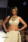 Celebs Walks the Ramp at IIJW 2012 - 119 of 297