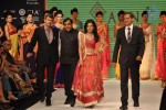 Celebs Walks the Ramp at IIJW 2012 - 176 of 297