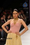 Celebs Walks the Ramp at IIJW 2012 - 239 of 297