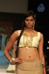 Celebs Walks the Ramp at IIJW 2012 - 240 of 297