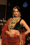 Celebs Walks the Ramp at IIJW 2012 - 251 of 297