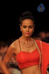 Celebs Walks the Ramp at IIJW 2012 - 274 of 297