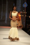 Celebs Walks the Ramp at IIJW 2012 - 294 of 297