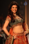 Celebs Walks the Ramp at IIJW 2013 Day 3 - 43 of 132