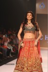 Celebs Walks the Ramp at IIJW 2013 Day 3 - 4 of 132