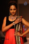 Celebs Walks the Ramp at IIJW 2013 Day 3 - 7 of 132