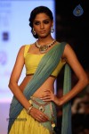 Celebs Walks the Ramp at IIJW 2013 Day 3 - 50 of 132