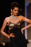 Celebs Walks the Ramp at IIJW 2013 Day 3 - 53 of 132