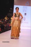 Celebs Walks the Ramp at IIJW 2013 Day 3 - 31 of 132