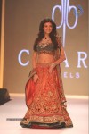 Celebs Walks the Ramp at IIJW 2013 Day 3 - 47 of 132