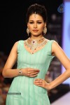 Celebs Walks the Ramp at IIJW 2013 Day 3 - 50 of 132
