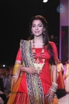 Celebs Walks the Ramp at IIJW 2013 Day 3 - 80 of 132