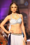 Celebs Walks the Ramp at IIJW 2013 Day 4 - 50 of 129