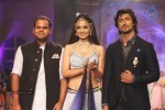 Celebs Walks the Ramp at IIJW 2013 Day 4 - 57 of 129