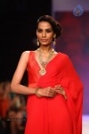 Celebs Walks the Ramp at IIJW 2013 Day 4 - 36 of 129