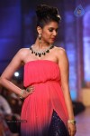 Celebs Walks the Ramp at IIJW 2013 Day 4 - 55 of 129
