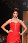 Celebs Walks the Ramp at IIJW 2013 Day 4 - 62 of 129