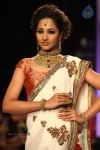 Celebs Walks the Ramp at IIJW 2013 Day 4 - 63 of 129