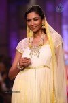 Celebs Walks the Ramp at IIJW 2013 Day 4 - 67 of 129