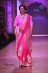 Celebs Walks the Ramp at IIJW 2013 Day 4 - 71 of 129