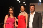 Celebs Walks the Ramp at IIJW 2013 Day 4 - 77 of 129