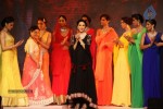Celebs Walks the Ramp at IIJW 2013 Day 4 - 80 of 129
