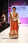 Celebs Walks the Ramp at IIJW 2013 Day 4 - 81 of 129