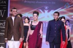 Celebs Walks the Ramp at IIJW 2013 Day 4 - 90 of 129