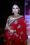 Celebs Walks the Ramp at IIJW 2013 Day 4 - 99 of 129
