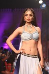 Celebs Walks the Ramp at IIJW 2013 Day 4 - 105 of 129