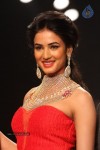 Celebs Walks the Ramp at IIJW 2013 Day 4 - 117 of 129