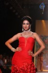 Celebs Walks the Ramp at IIJW 2013 Day 4 - 123 of 129
