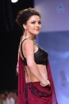Celebs Walks the Ramp at IIJW 2013 Day 4 - 129 of 129