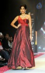 Celebs Walks the Ramp at IIJW 2014 Set 1 - 22 of 235
