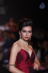 Celebs Walks the Ramp at IIJW 2014 Set 1 - 30 of 235