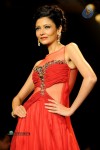 Celebs Walks the Ramp at IIJW 2014 Set 1 - 36 of 235