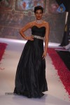 Celebs Walks the Ramp at IIJW 2014 Set 1 - 37 of 235