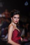 Celebs Walks the Ramp at IIJW 2014 Set 1 - 39 of 235