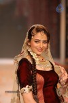 Celebs Walks the Ramp at IIJW 2014 Set 1 - 69 of 235