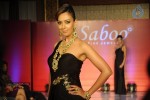 Celebs Walks the Ramp at IIJW 2014 Set 1 - 84 of 235