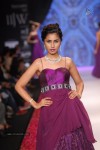 Celebs Walks the Ramp at IIJW 2014 Set 1 - 86 of 235