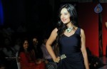 Celebs Walks the Ramp at IIJW 2014 Set 1 - 116 of 235
