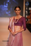 Celebs Walks the Ramp at IIJW 2014 Set 1 - 117 of 235