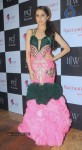 Celebs Walks the Ramp at IIJW 2014 Set 1 - 120 of 235