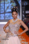 Celebs Walks the Ramp at IIJW 2014 Set 1 - 135 of 235