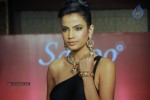 Celebs Walks the Ramp at IIJW 2014 Set 1 - 145 of 235