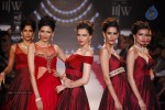 Celebs Walks the Ramp at IIJW 2014 Set 1 - 147 of 235