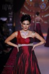 Celebs Walks the Ramp at IIJW 2014 Set 1 - 151 of 235
