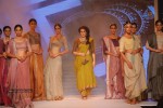 Celebs Walks the Ramp at IIJW 2014 Set 1 - 159 of 235
