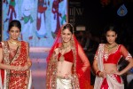Celebs Walks the Ramp at IIJW 2014 Set 1 - 196 of 235